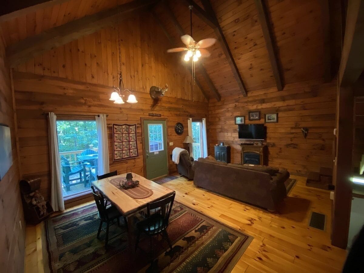 Flat-screen TV, fireplace, DVD player, books