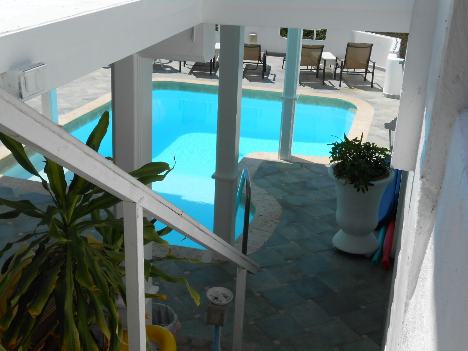 A pool area with lounge chairs and a potted plant.