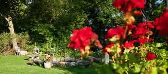 Runaway Rooster B&B -- Guest Cottage