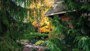 A wooden cabin surrounded by dense greenery and autumn foliage. - Runaway Rooster B&B -- Guest Cottage
 (Prince Edward)