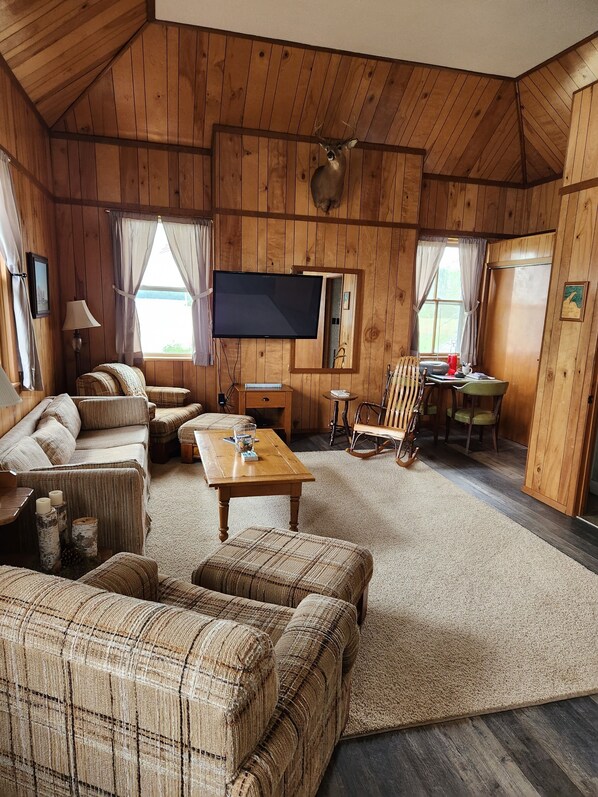 TV, DVD player, books, video library