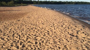 Una playa arenosa con huellas que conducen al agua, cielo despejado y un bosque al fondo.
