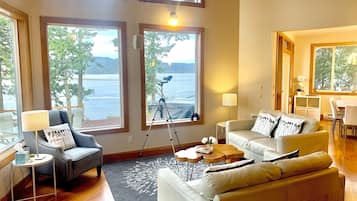 Téléviseur connecté, foyer, lecteur de DVD, livres