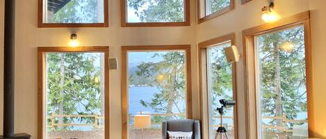 Smart TV, fireplace, DVD player, books