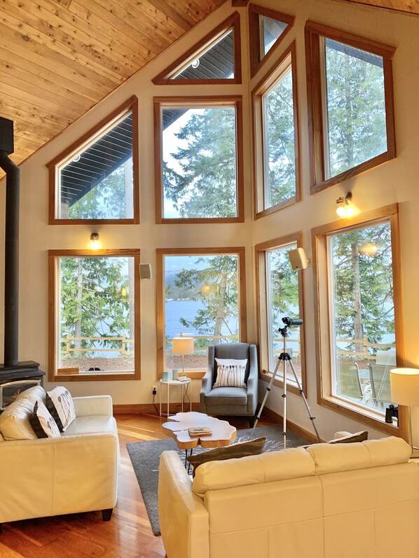 Smart TV, fireplace, DVD player, books