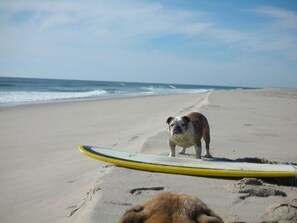 كراسي للتشمس