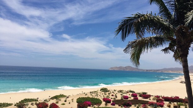 Una playa con vista despejada al océano y montañas distantes. Hay un jardín bien cuidado con diversas plantas y flores.
