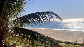 Una propiedad frente al mar con patio, palmeras y vista al océano.