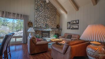 TV, fireplace, DVD player, books