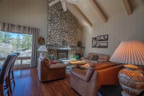 TV, fireplace, DVD player, books