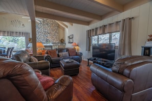 TV, fireplace, DVD player, books