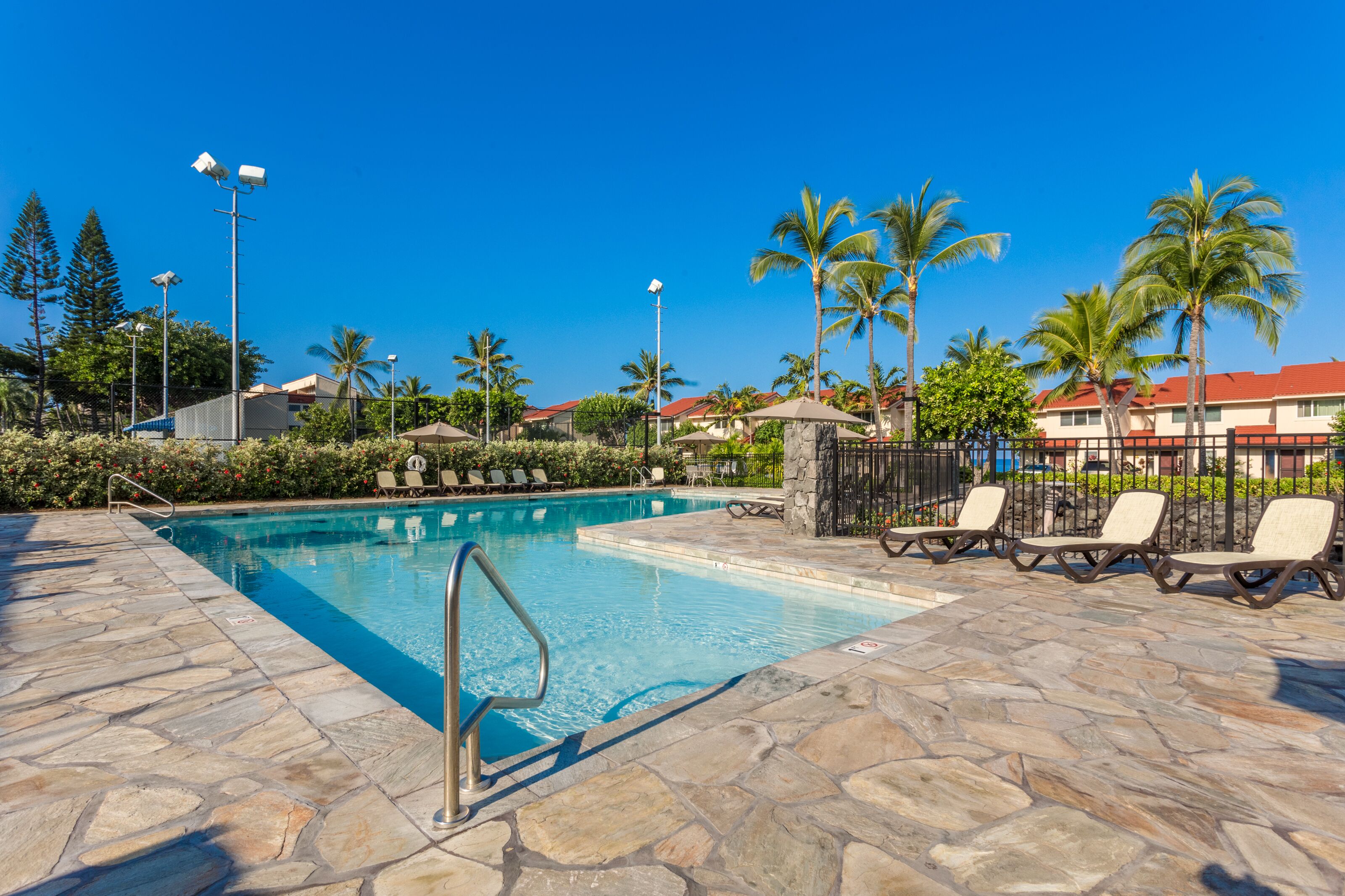 Une piscine avec des chaises longues et des palmiers.