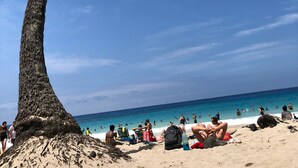Ein Strand mit einer Palme, Menschen, die sich sonnen, und dem Meer im Hintergrund.