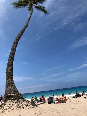 On the beach, sun-loungers, beach towels