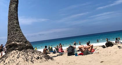 Rare BEACH FRONT Home. Beobachten Sie die Schildkröten von Ihrem Bett!