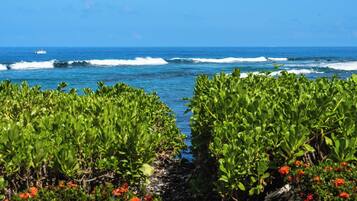 A coastal view with waves, greenery, and red flowers.
