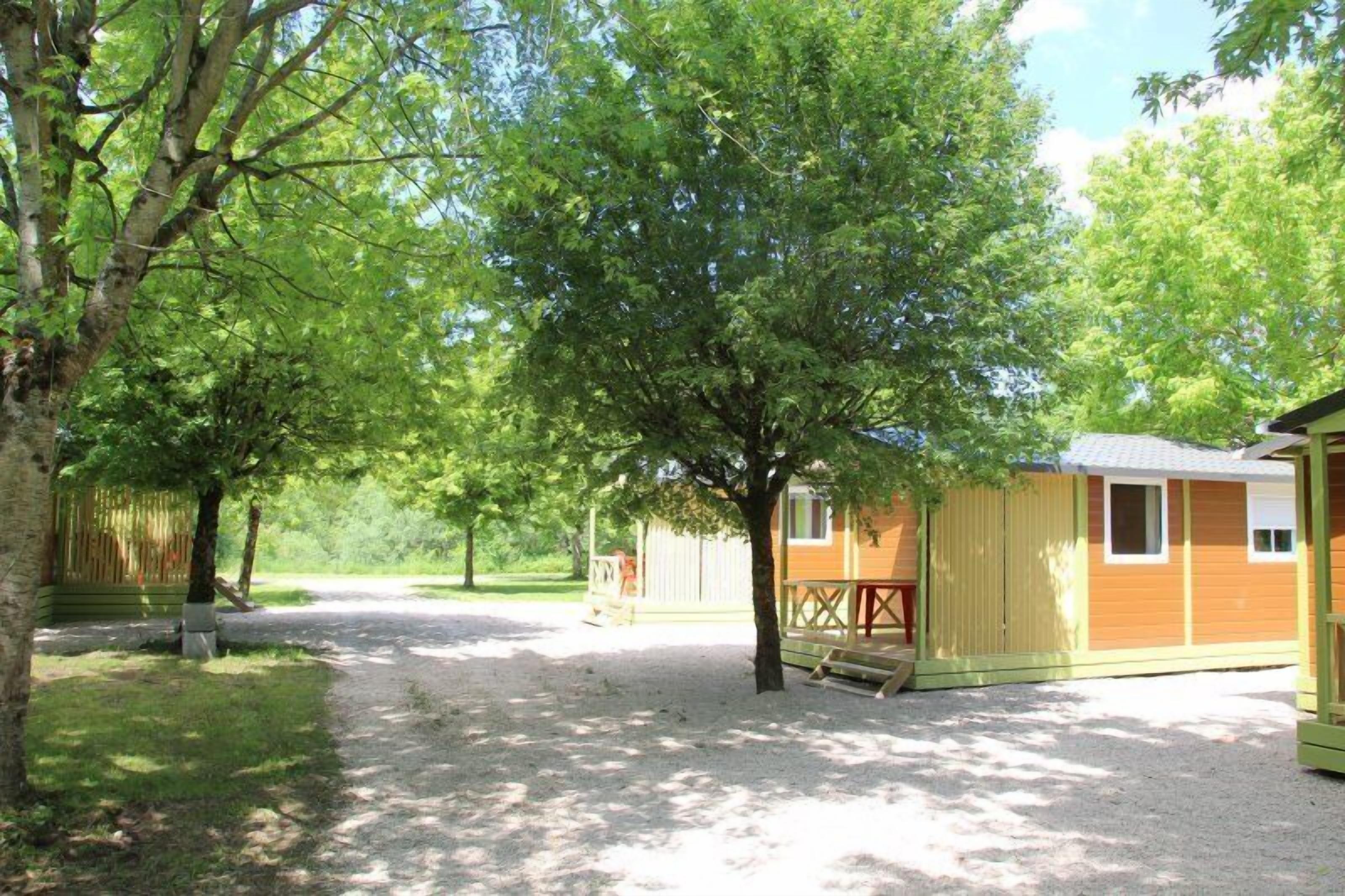 A rustic cabin with a gravel driveway, surrounded by trees.
