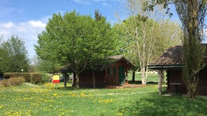 A rustic wooden cabin with a green door, surrounded by a lush green field with yellow flowers, and a clear blue sky. - Chalets Etape du Camping Le Bivouac (Pont-du-Navoy)