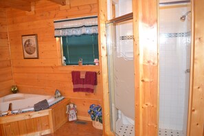 Shower, towels, soap - Beautiful Three Bed Two Bath Near Pigeon Forge, gatlinburg (Sevierville)