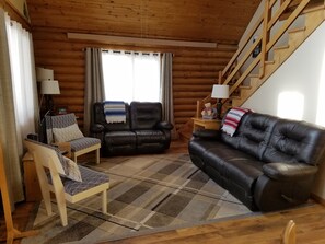 تلفزيون، مشغل دي في دي