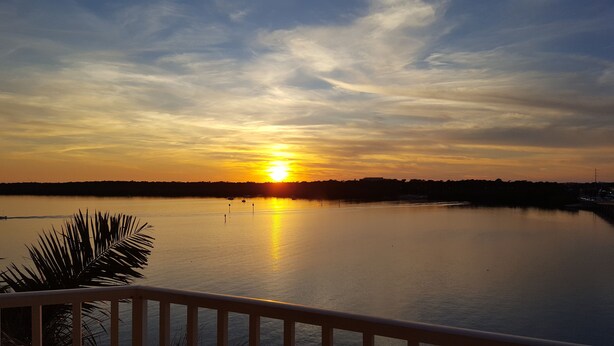 A sunset over a calm body of water with a distant shoreline and a palm tree in the foreground. - Waterfront Condo Family Getaway (St Petersburg)