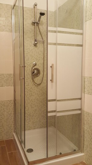 Regadera, secadora de cabello, bidet, toallas 