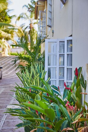 A narrow pathway lined with lush green plants and a white building with a window. - Spacious 5 Bedroom Villa, Centrally Located, Near Beach. (Runaway Bay)