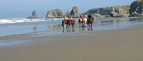 A beach with horses and riders.