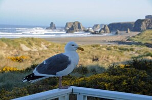 A seagull perched on a railing overlooking a coastal landscape with prominent rock formations.