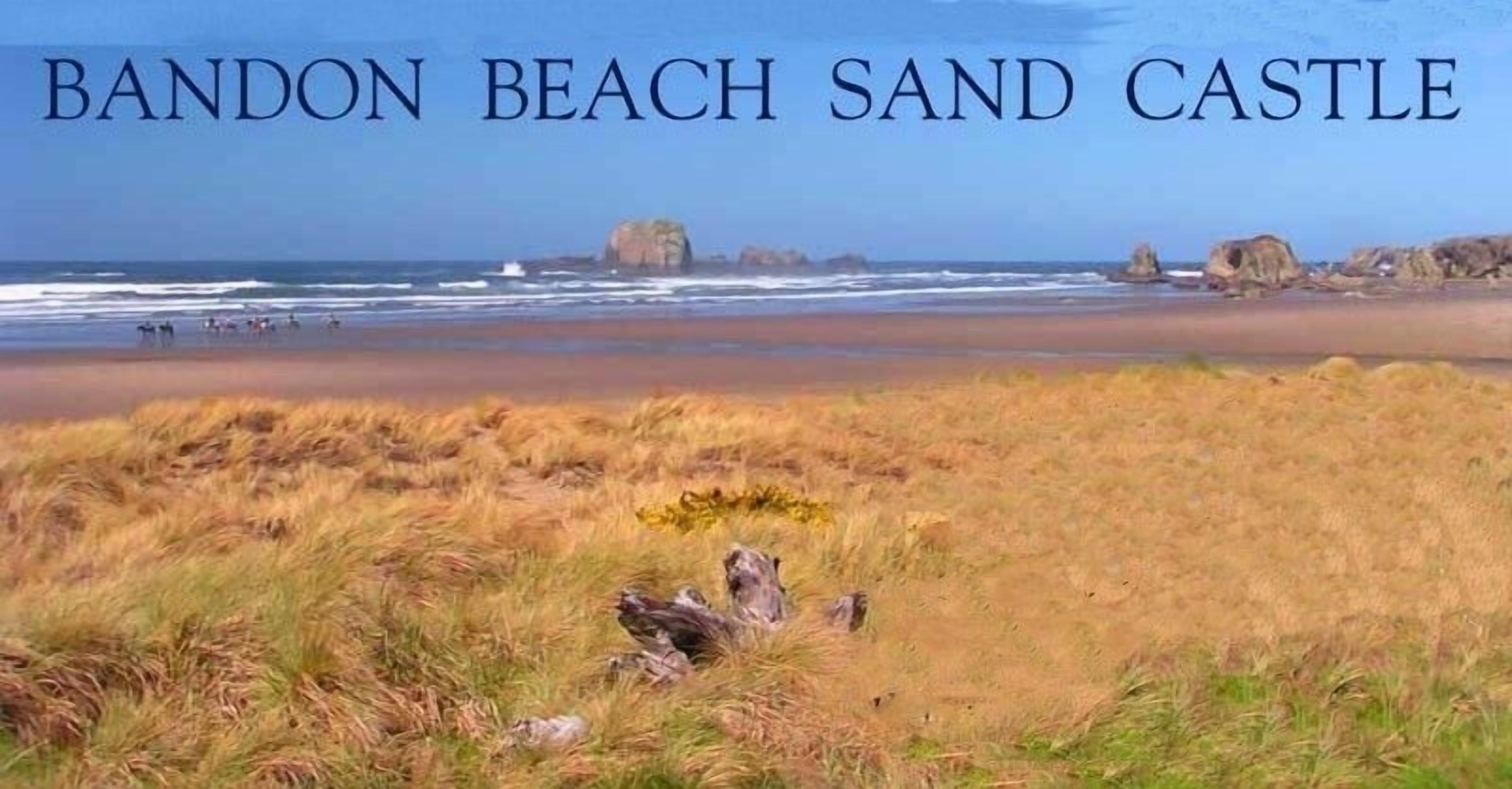 Rare Classic Beach House - Enjoy views of Face Rock & miles of beach to explore!