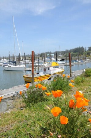 Marina