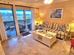 Smart TV, DVD player, books, video library