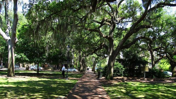 A tree-lined pathway in a park with a paved walkway, benches, and a lamppost. - The Garden Apartment with a Murphy Table (Savannah)
