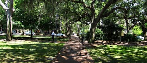 A tree-lined pathway in a park with a paved walkway, benches, and a lamppost.