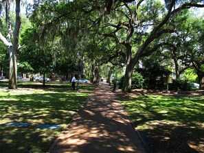 A tree-lined pathway in a park with a paved walkway, benches, and a lamppost.