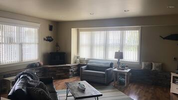 电视、DVD 播放器