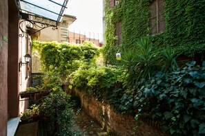 A narrow alley with a stone wall covered in lush green ivy, flanked by buildings with traditional architecture and a metal awning.
