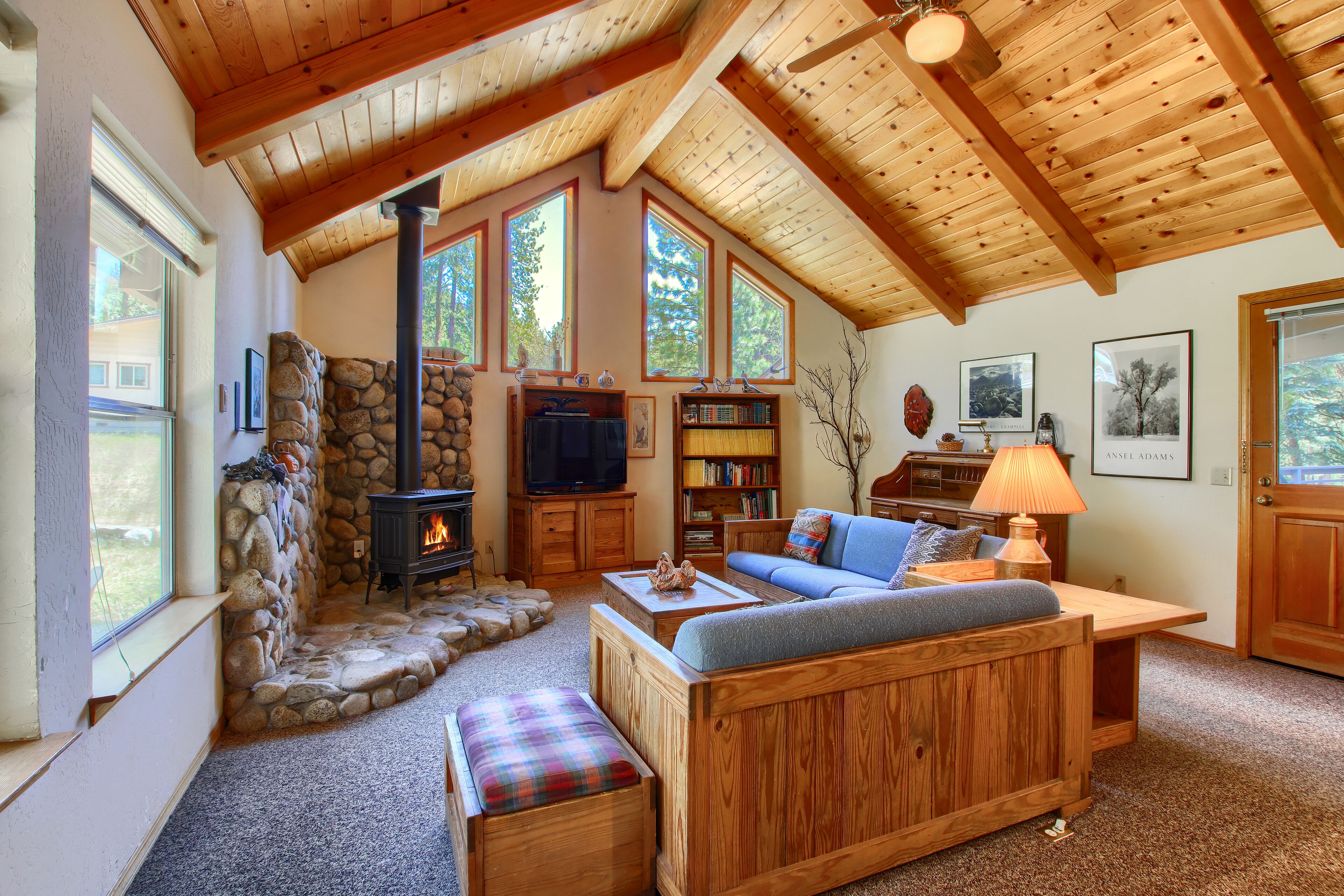 TV, fireplace, DVD player, books