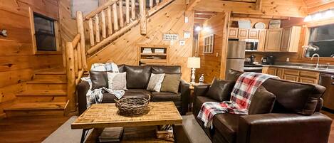 TV, peis, videospill og DVD-spiller