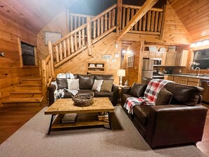 Télévision, cheminée, jeux vidéo, lecteur de DVD