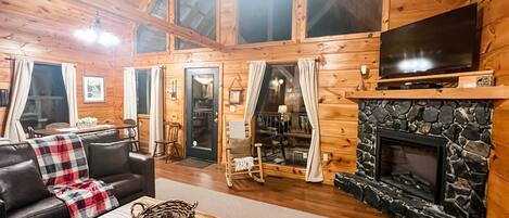 Télévision, cheminée, jeux vidéo, lecteur de DVD