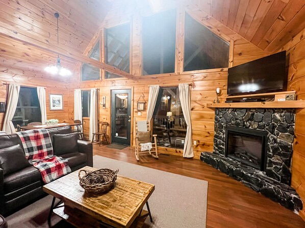 Télévision, cheminée, jeux vidéo, lecteur de DVD