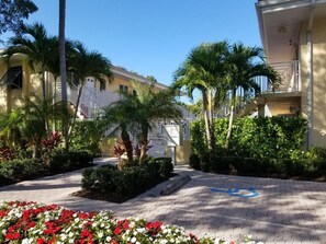 Property grounds - In the heart of Old Naples (Naples)