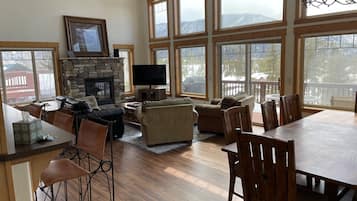 TV, fireplace, DVD player, books