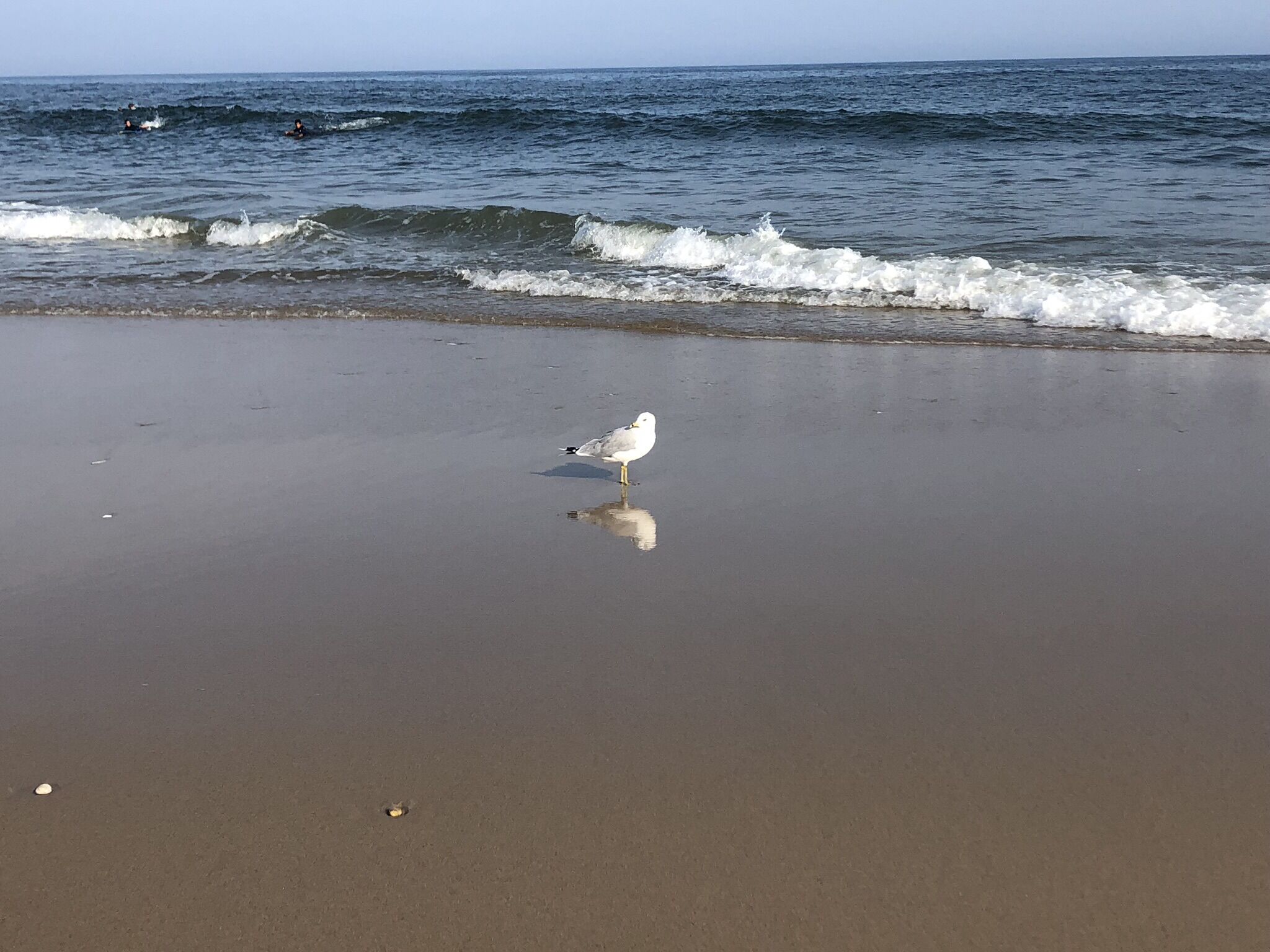 Beach nearby, beach towels