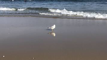 Beach nearby, beach towels