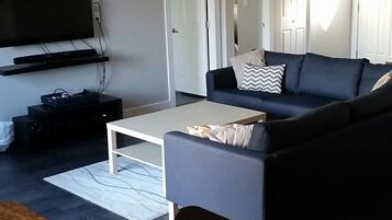 TV, fireplace, DVD player, ping pong