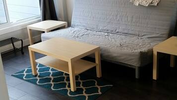 TV, fireplace, DVD player, ping pong