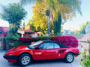 Property grounds - Beautiful Spanish style home- Garden. Fremont, California.  (Fremont)