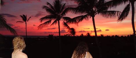 Terrain de lâhĂ©bergement